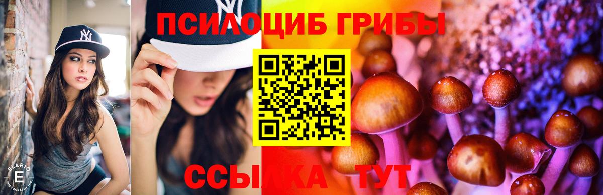 Псилоцибиновые грибы Cubensis Нефтеюганск